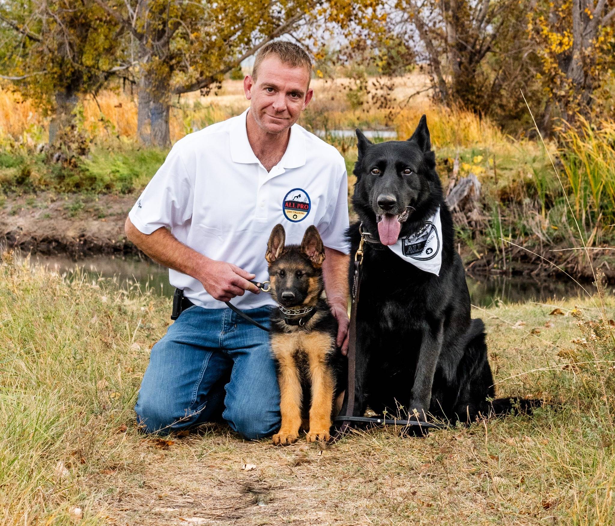 Dog training background